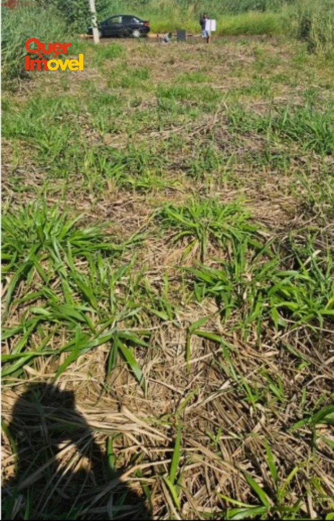 Terreno à venda em Ribeirão Preto-SP, bairro Fazenda Santa Rita do Picadão, 238,00 m² de área. Villas do Mirante, próximo ao Quinta da Mata