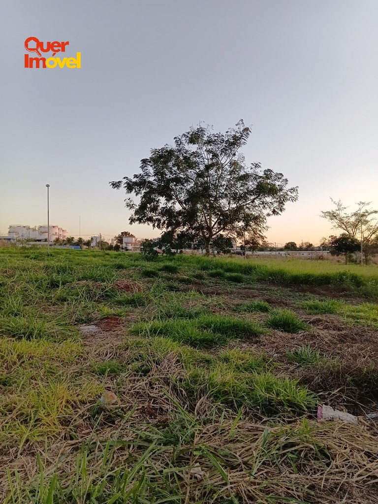Terreno, 499 m² - Foto 10