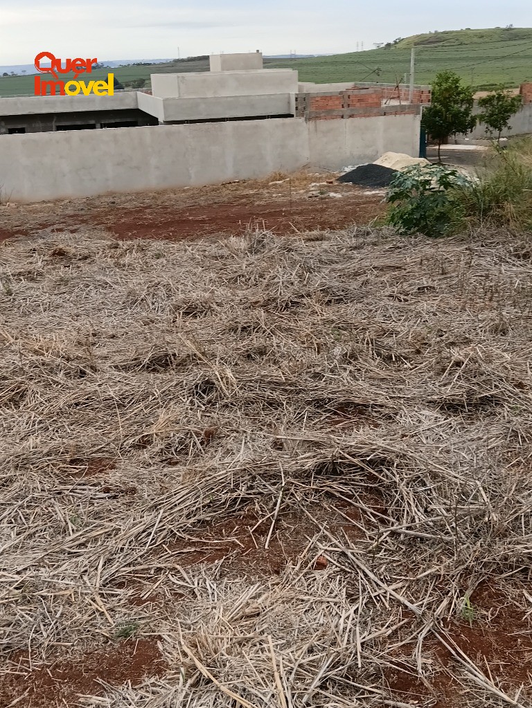 Terreno à venda em Ribeirão Preto-SP, bairro Fazenda Santa Rita do Picadão, 250m² de área. Aproveite!
