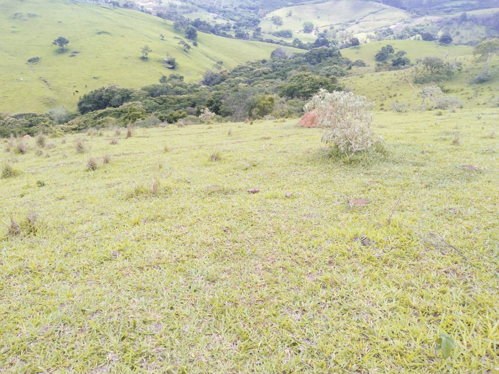 Fazenda no sul de minas