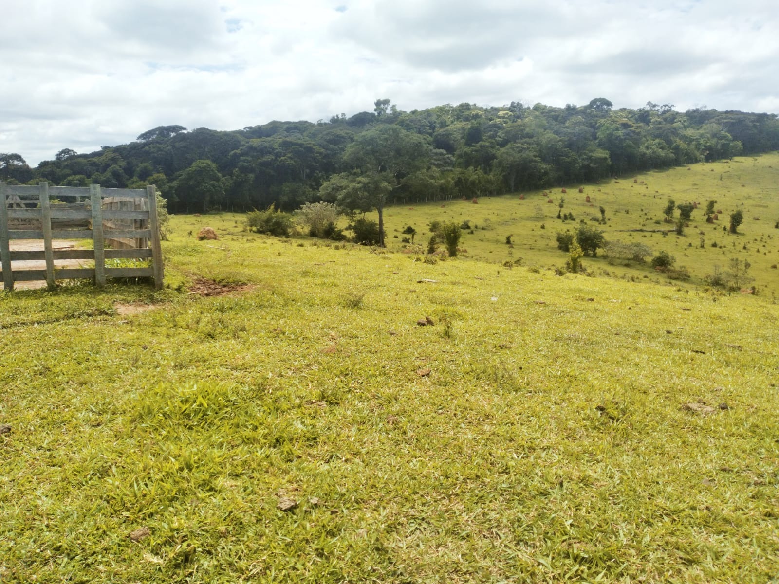 Fazenda no sul de minas