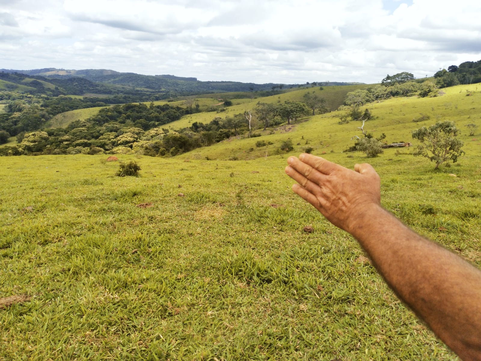 Fazenda no sul de minas