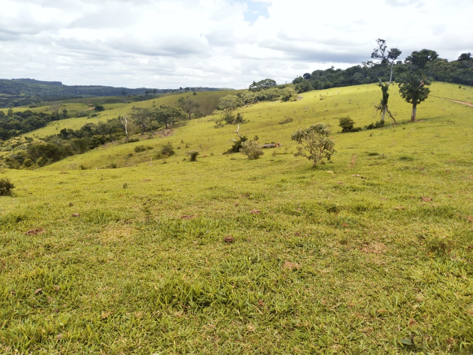 Fazenda no sul de minas