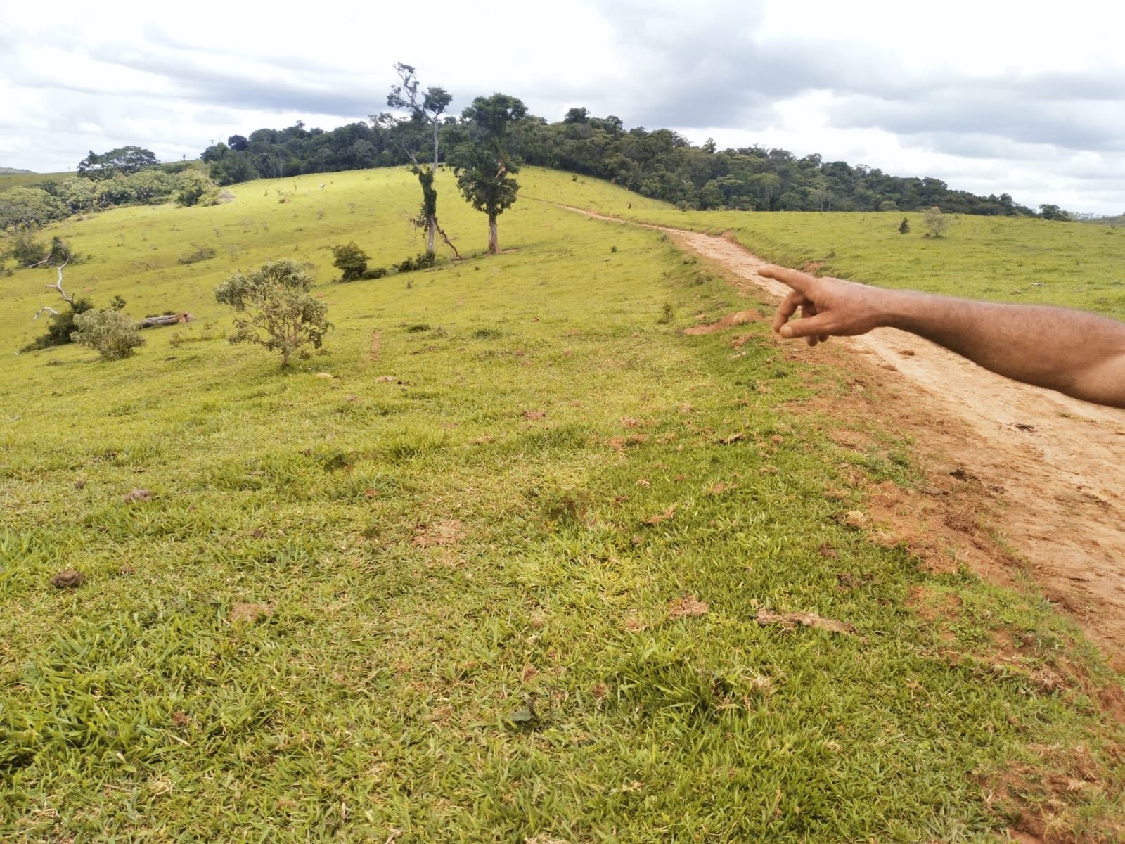 Fazenda no sul de minas
