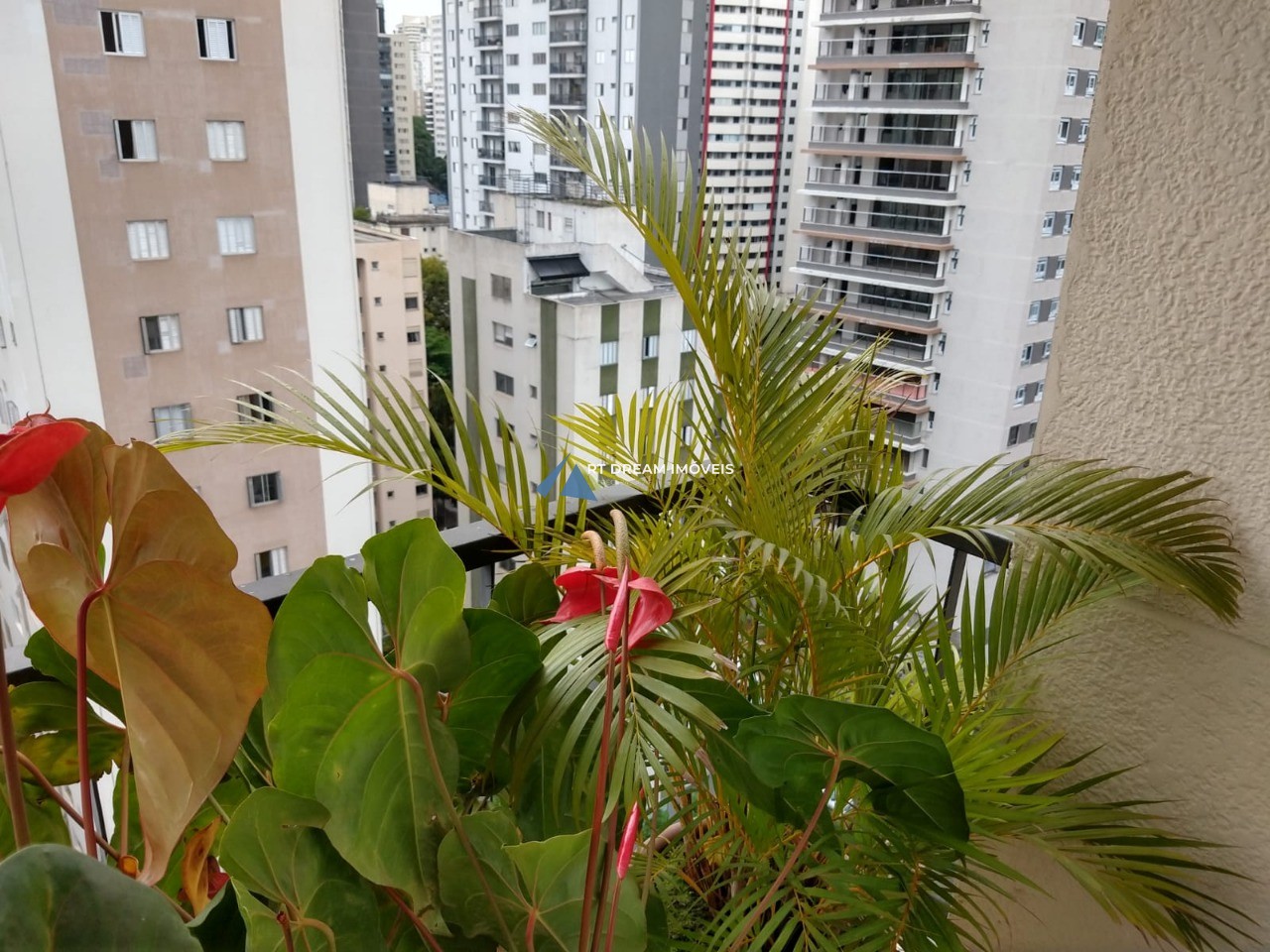 Apartamento, 4 quartos, 170 m² - Foto 16