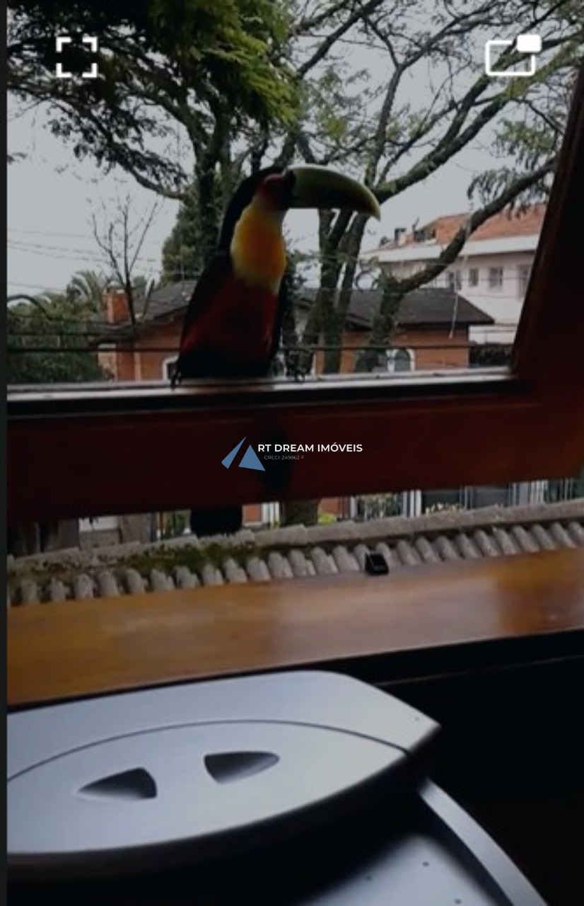 Casa, 4 quartos, 500 m² - Foto 33