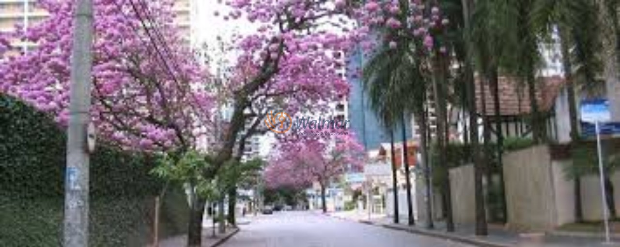 Apartamento, 4 quartos, 257 m² - Foto 16