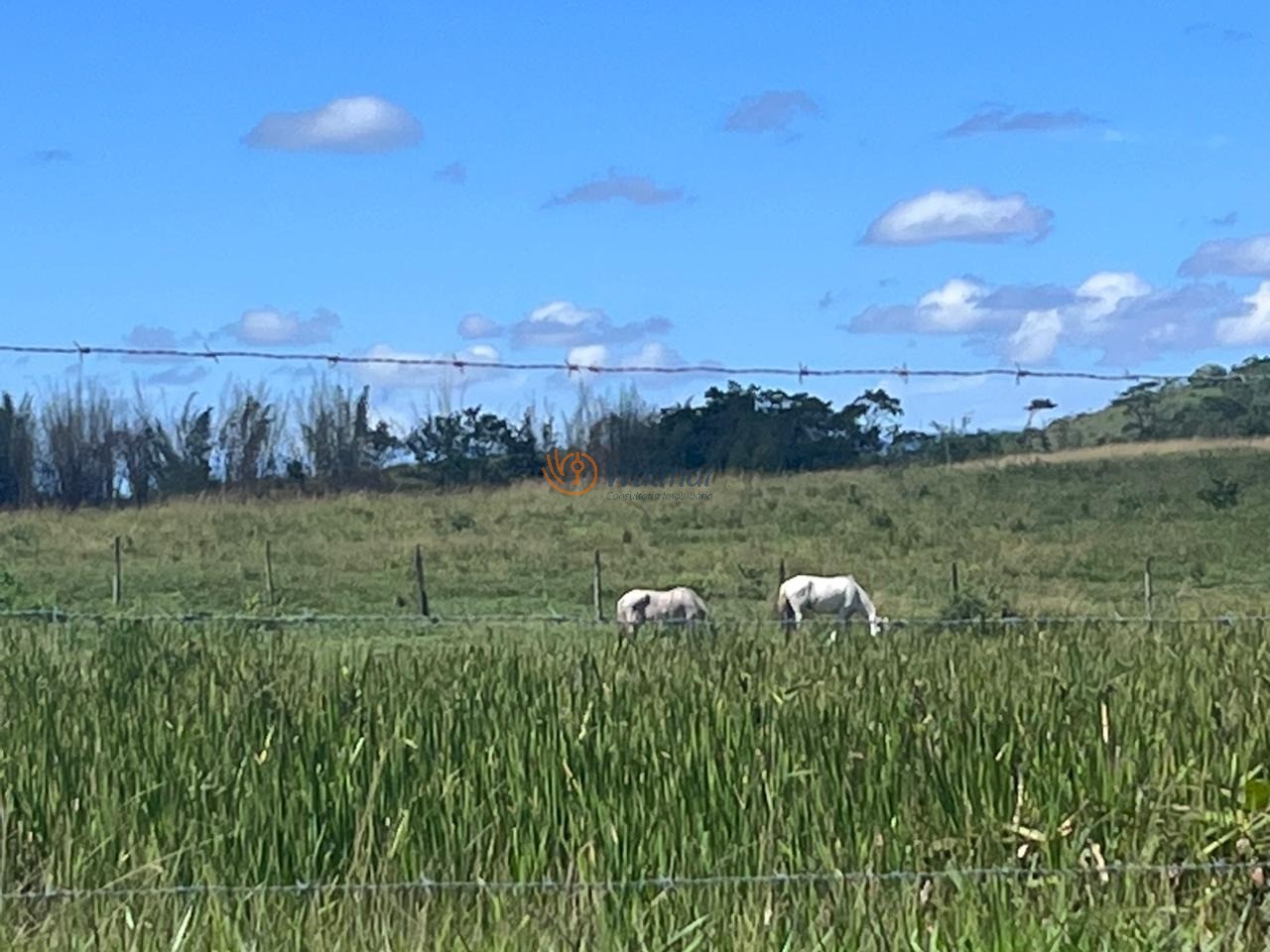 Fazenda, 52 m² - Foto 45