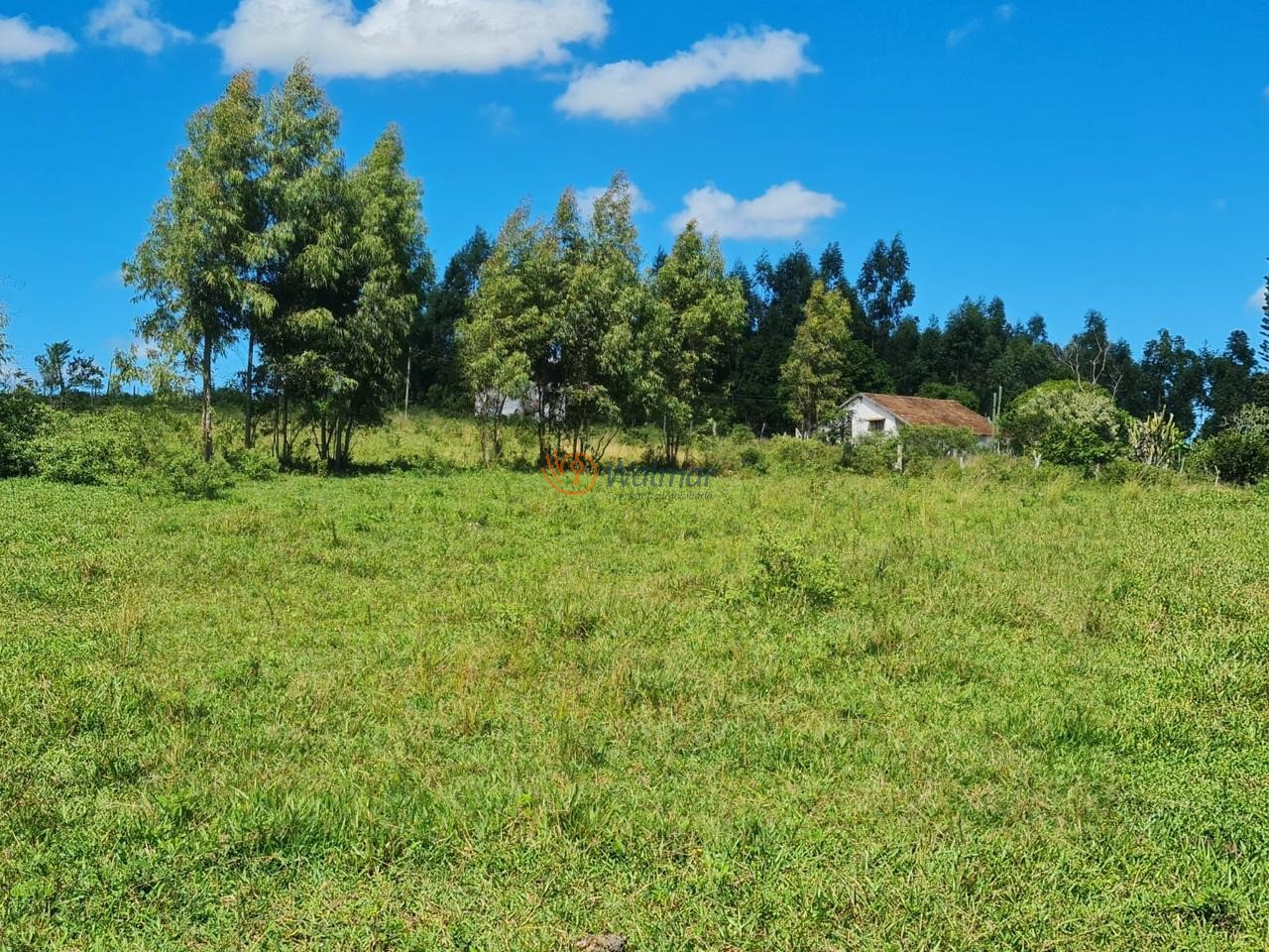 Fazenda, 52 m² - Foto 43