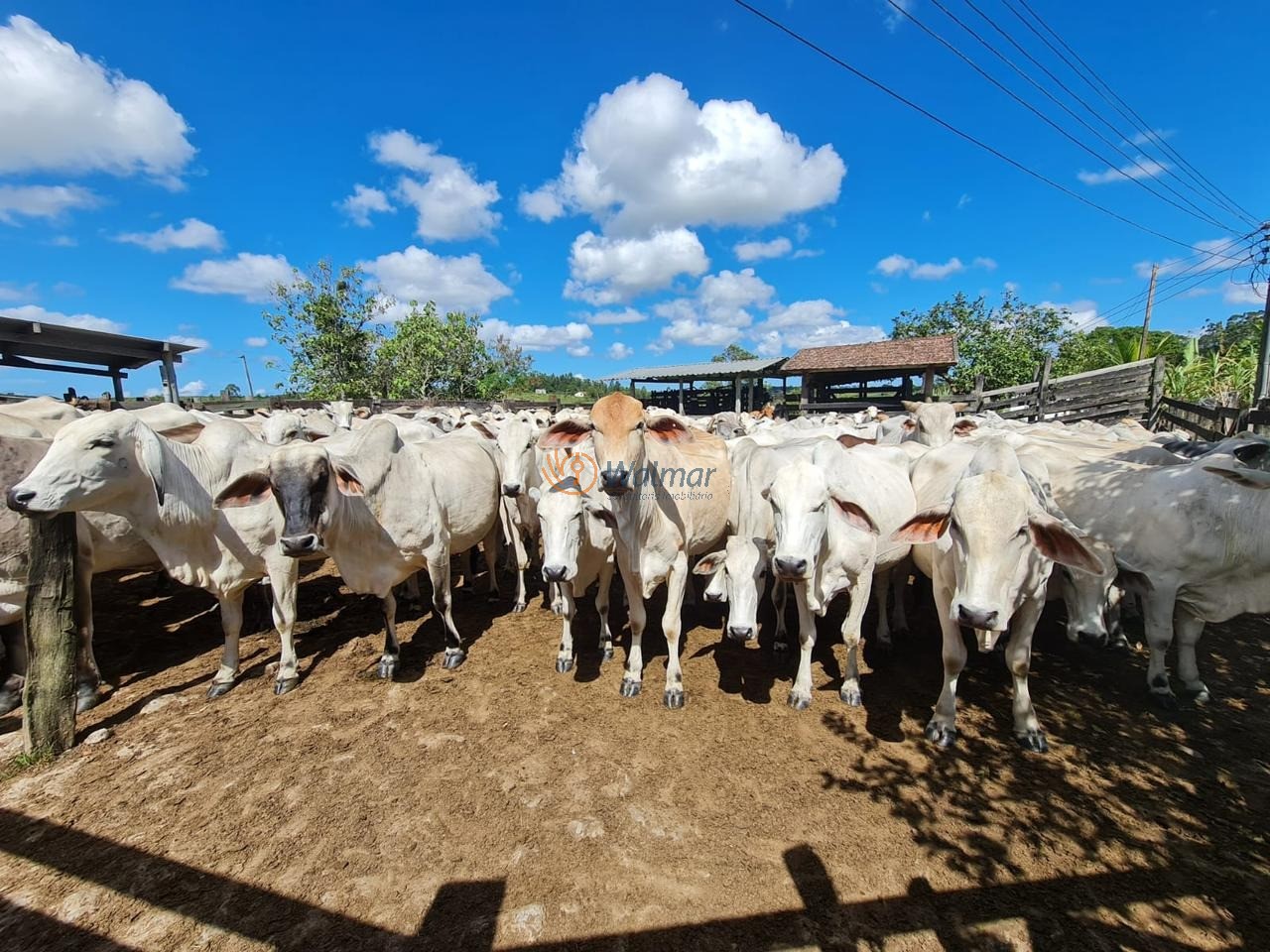 Fazenda, 52 m² - Foto 51