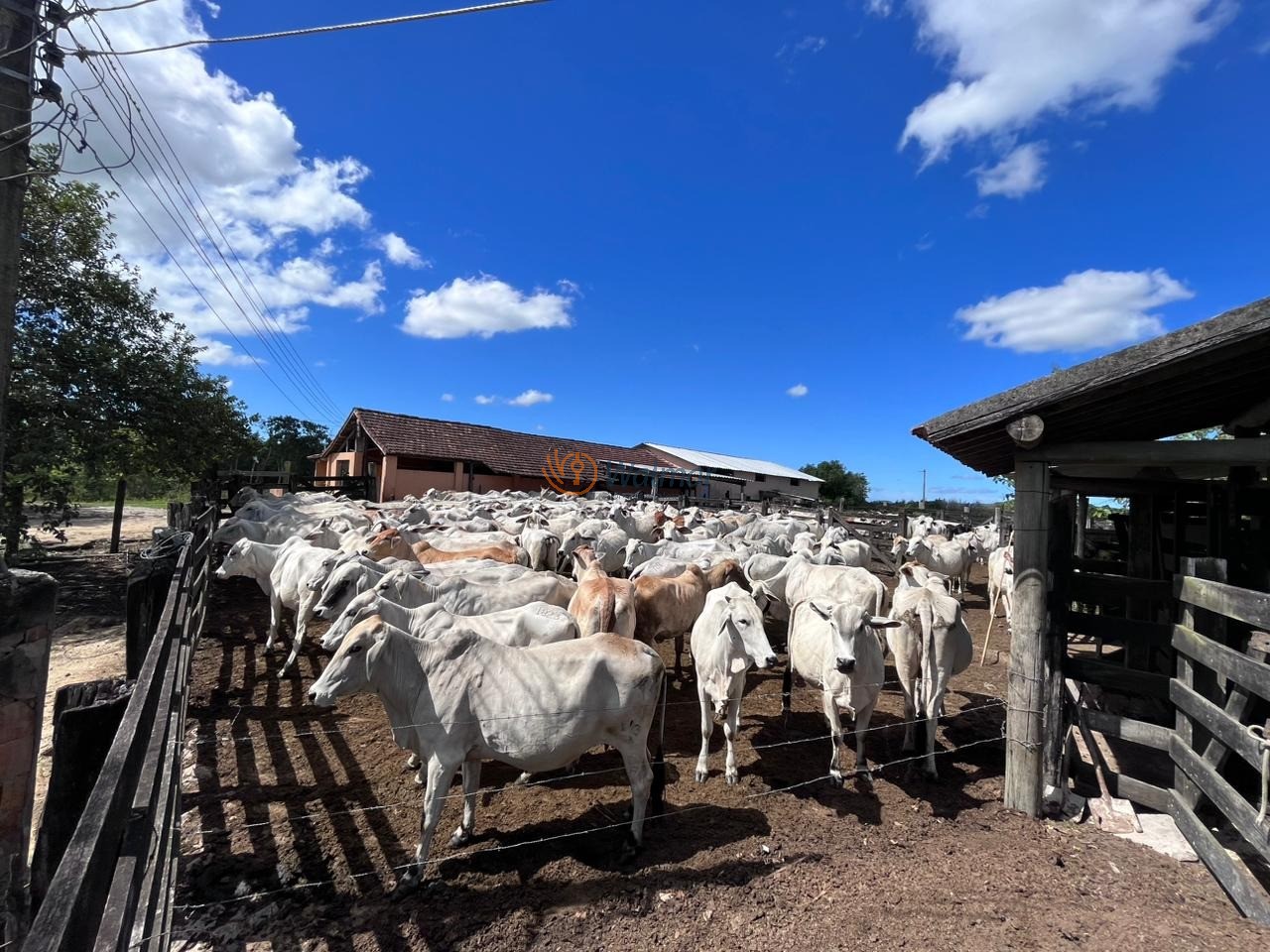 Fazenda, 52 m² - Foto 49