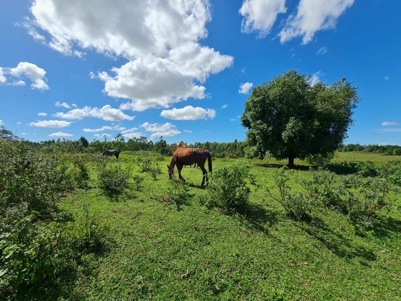 Fazenda, 52 m² - Foto 31