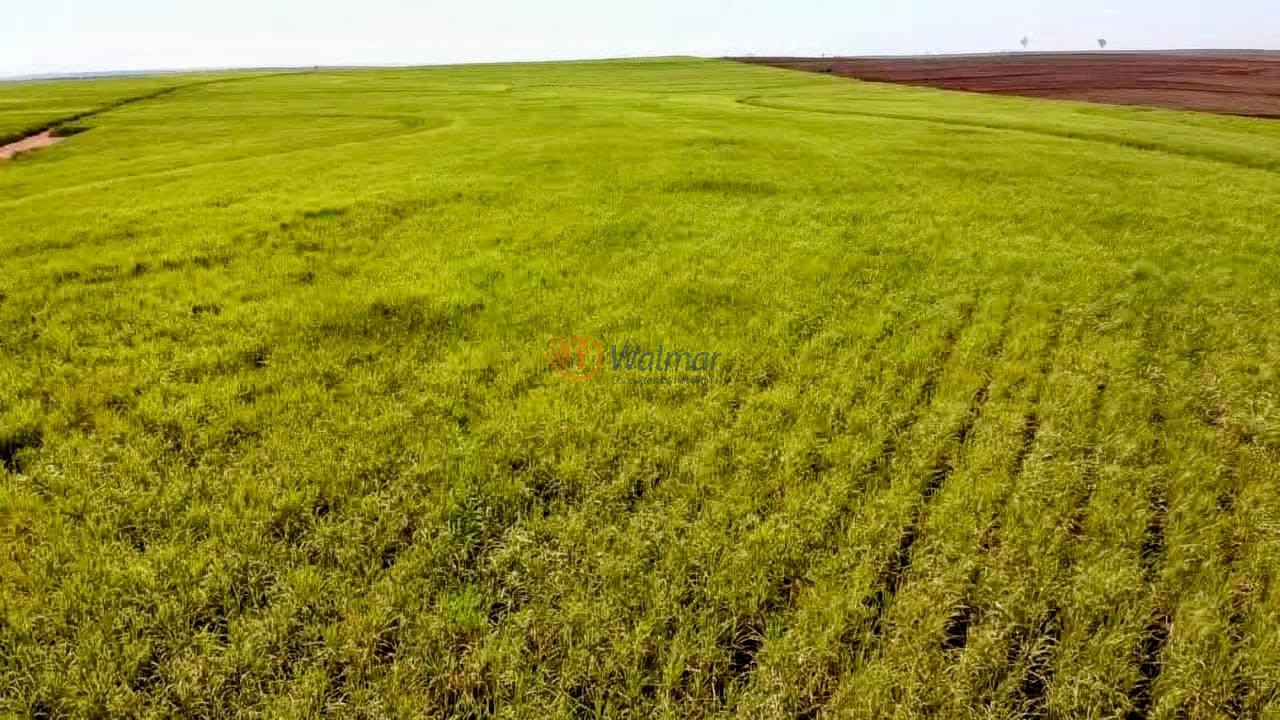 Fazenda, 402 m² - Foto 3