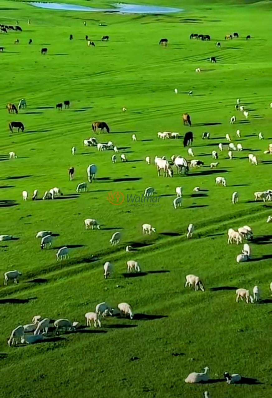 Fazenda, 200 m² - Foto 27