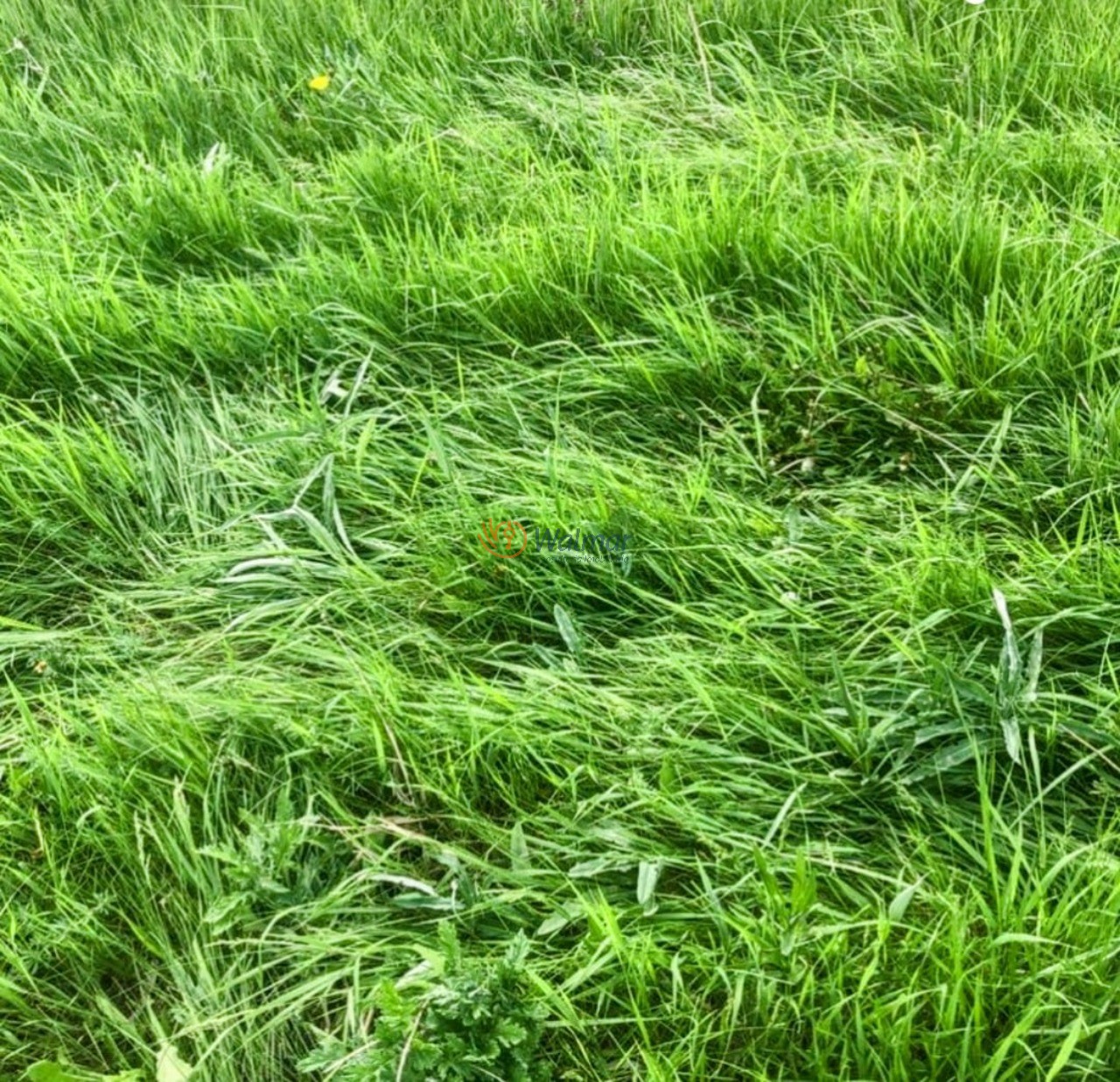 Fazenda, 200 m² - Foto 24