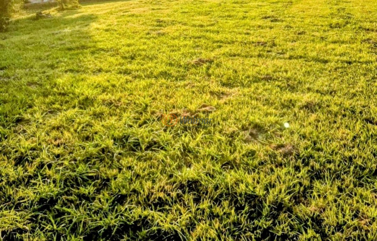 Terreno, 2540 m² - Foto 2
