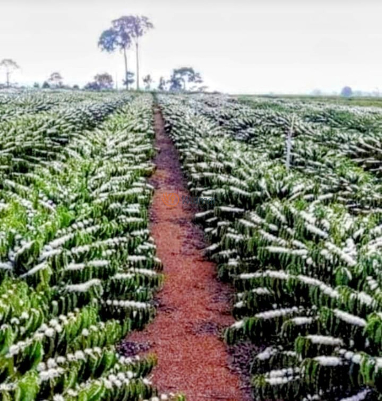 Fazenda, 200 m² - Foto 1