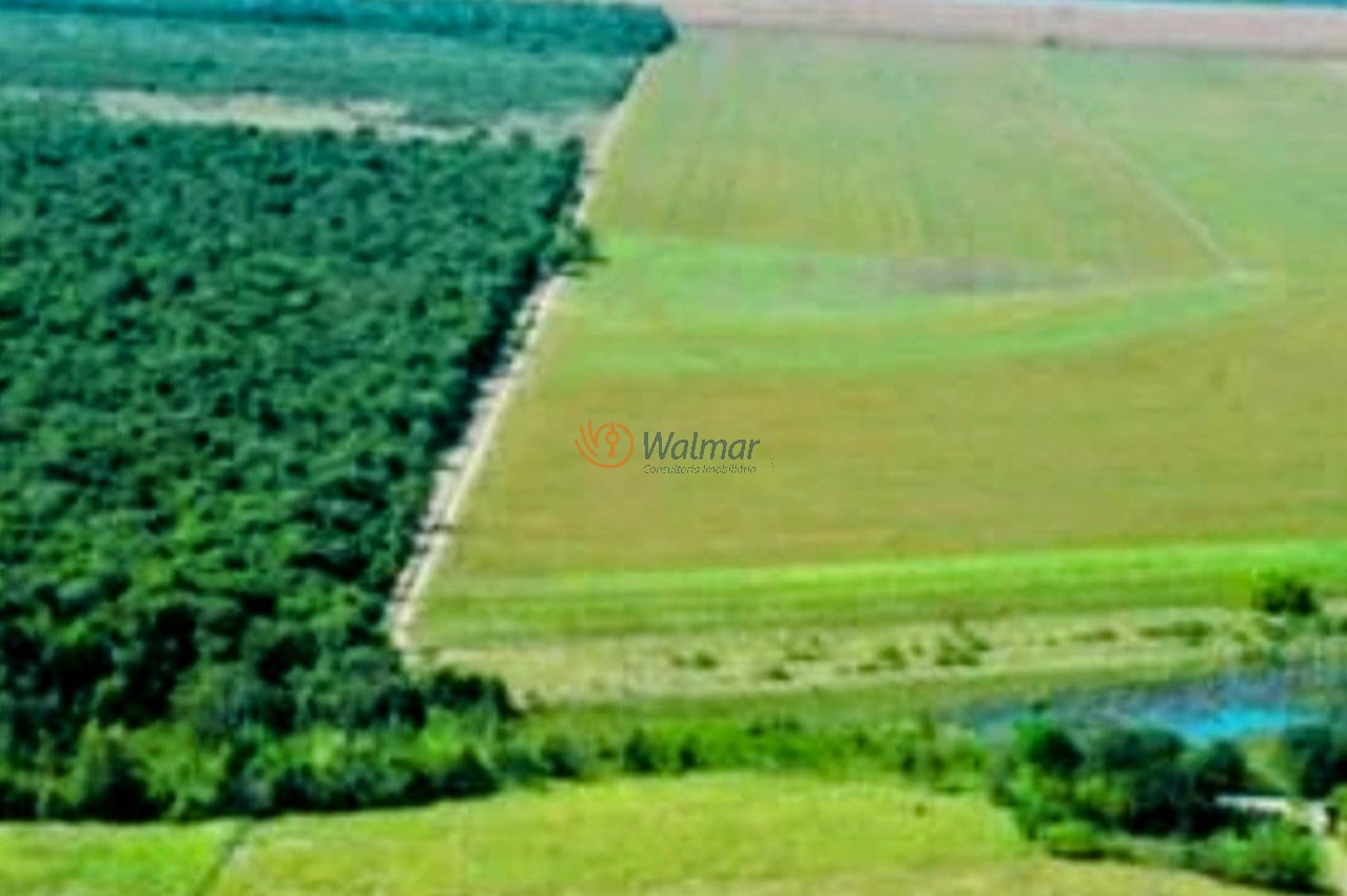 Fazenda, 200 m² - Foto 23