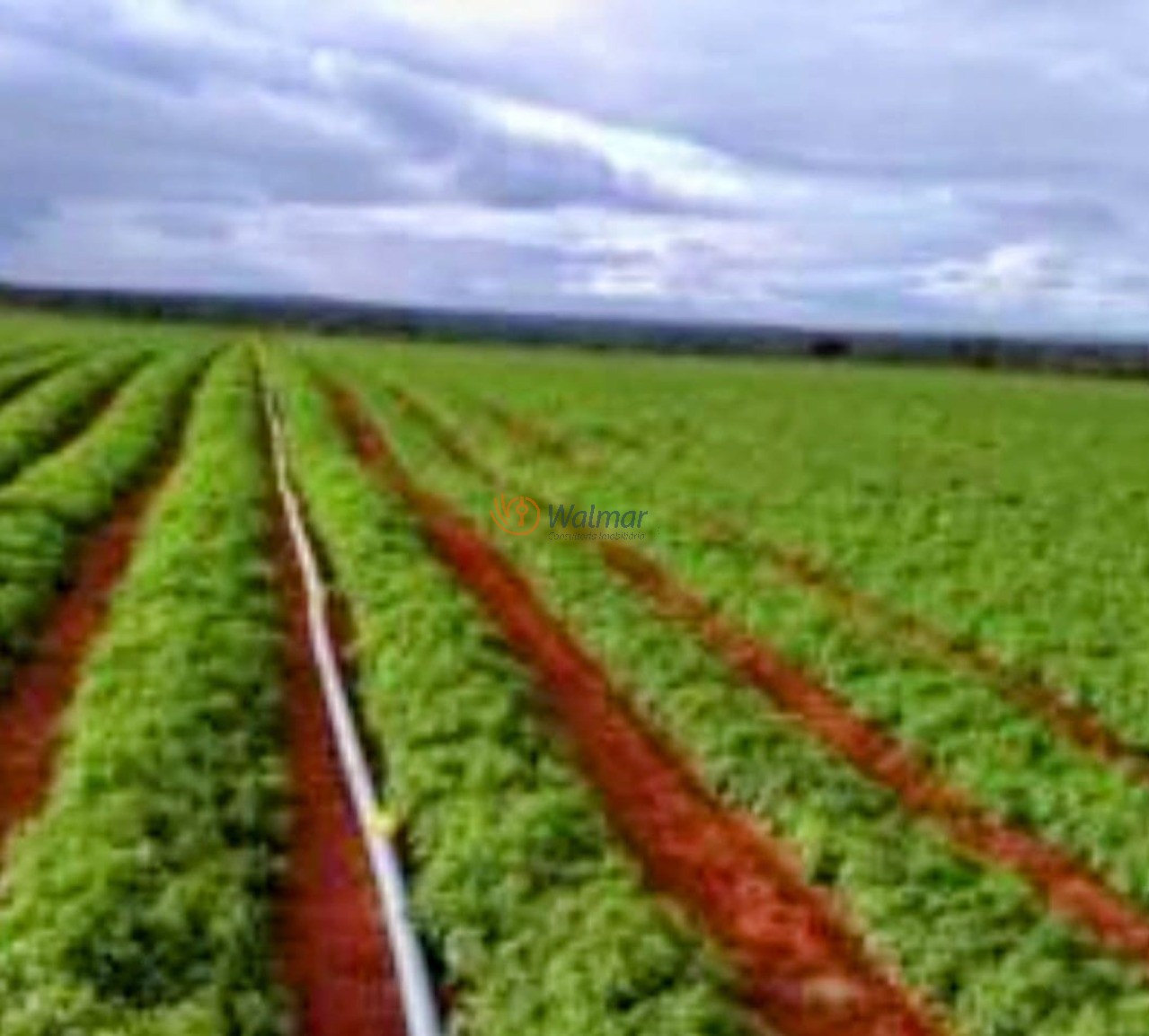 Fazenda, 200 m² - Foto 20