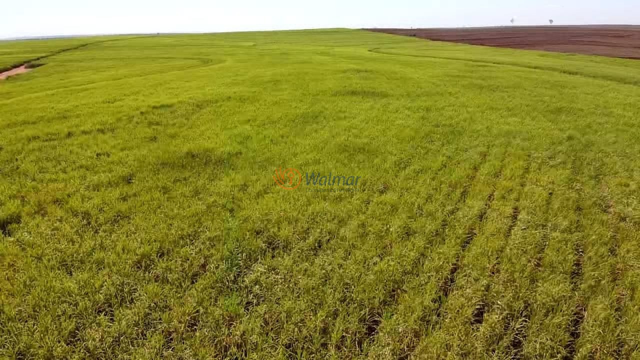 Fazenda, 402 m² - Foto 2