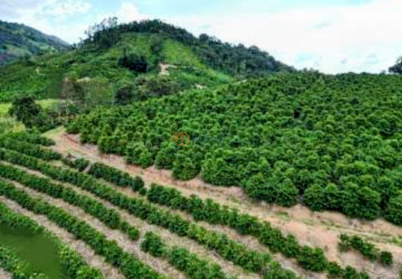 Fazenda, 200 m² - Foto 10