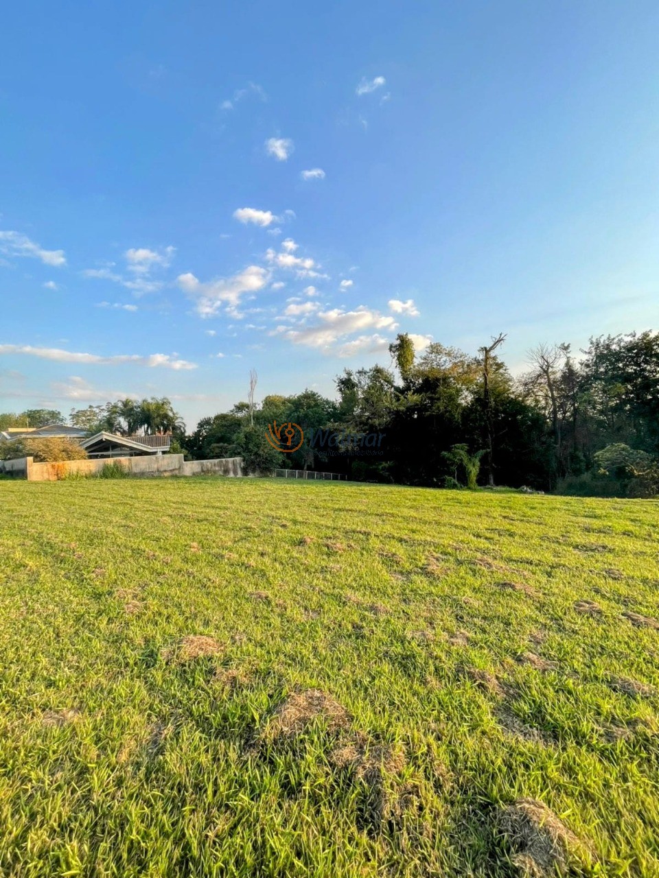 Terreno, 3393 m² - Foto 3