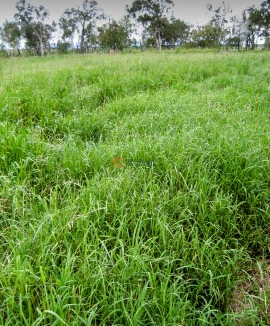 Fazenda, 200 m² - Foto 25