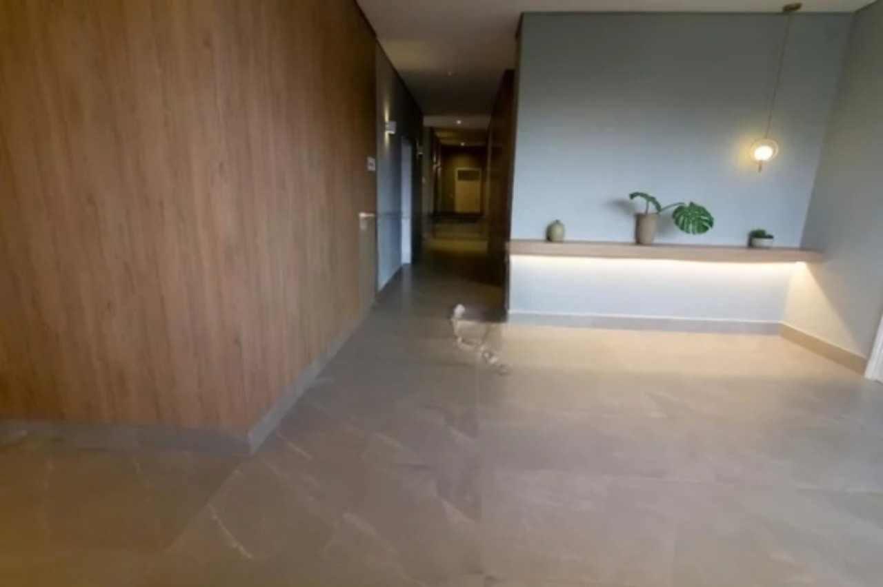Apartamento, 2 quartos, 62 m² - Foto 10