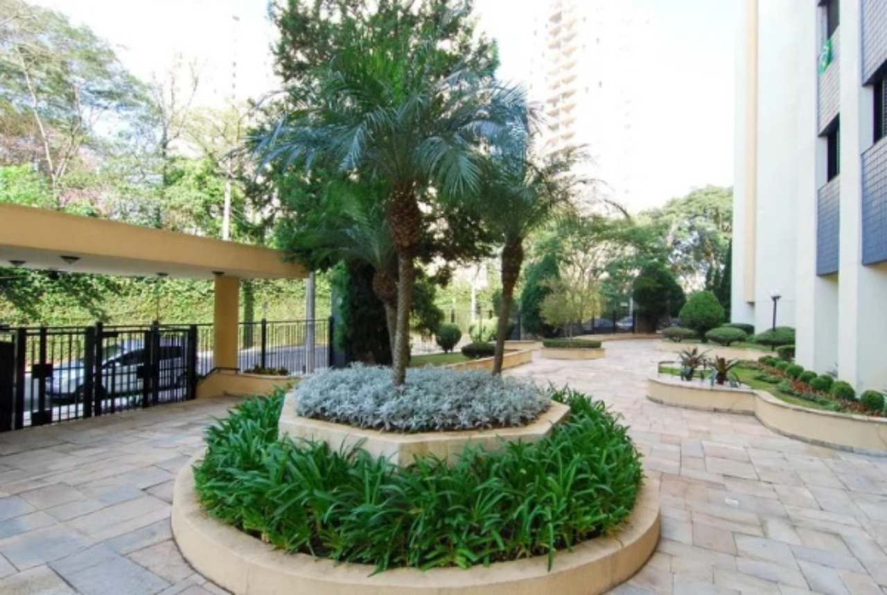 Apartamento, 4 quartos, 81 m² - Foto 6