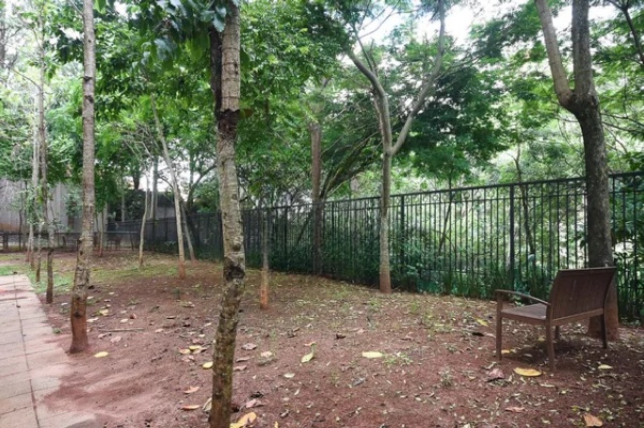 Apartamento, 3 quartos, 64 m² - Foto 9