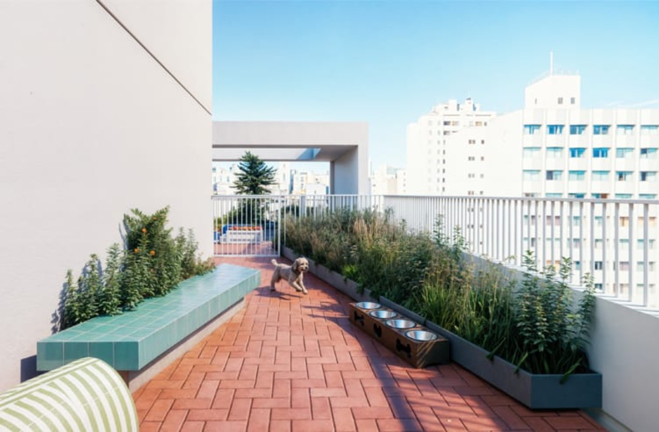 Apartamento, 1 quarto, 24 m² - Foto 5