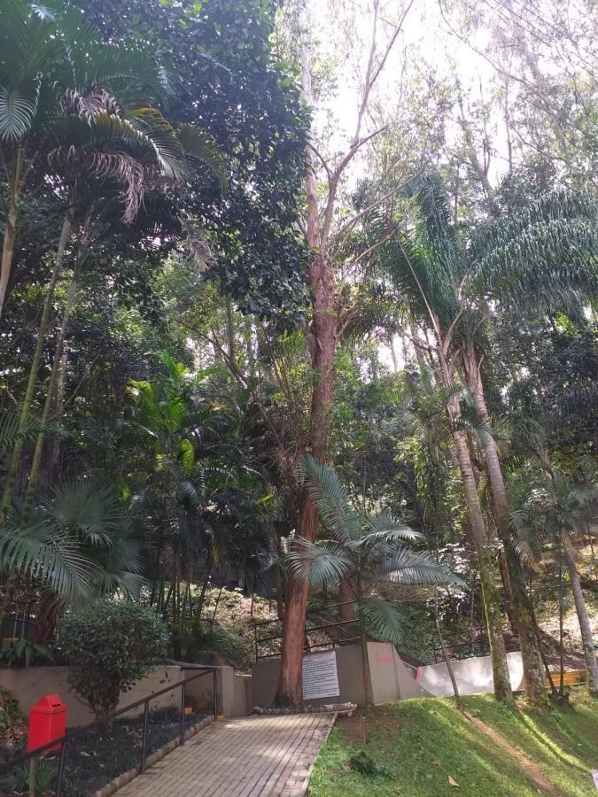 Apartamento, 3 quartos, 72 m² - Foto 12