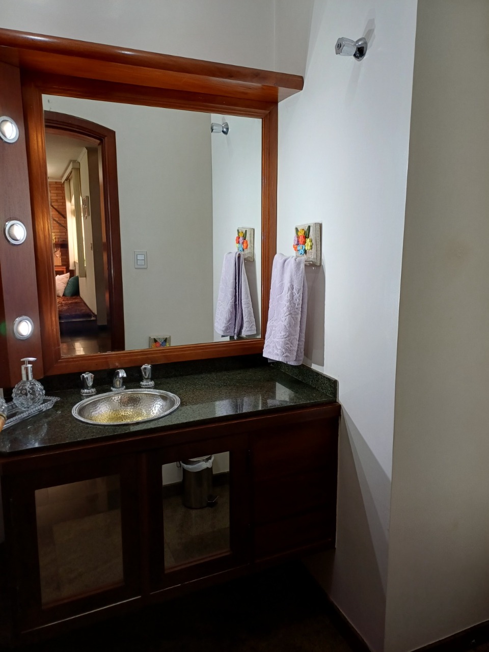 Casa, 4 quartos, 490 m² - Foto 25