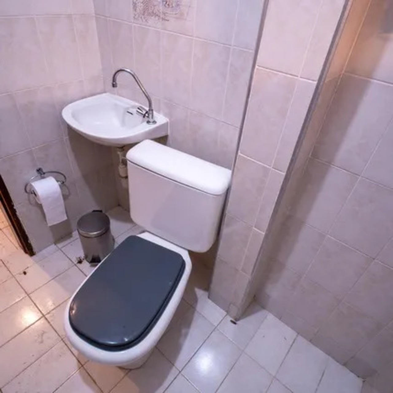 Casa, 4 quartos, 293 m² - Foto 54