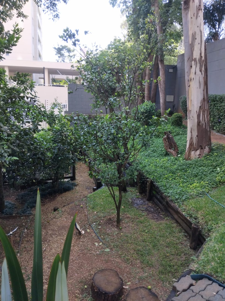 Apartamento, 2 quartos, 51 m² - Foto 24