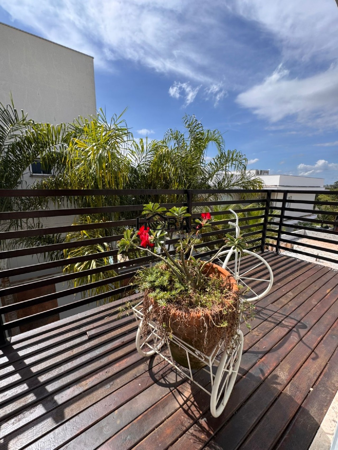 Casa, 4 quartos, 300 m² - Foto 6