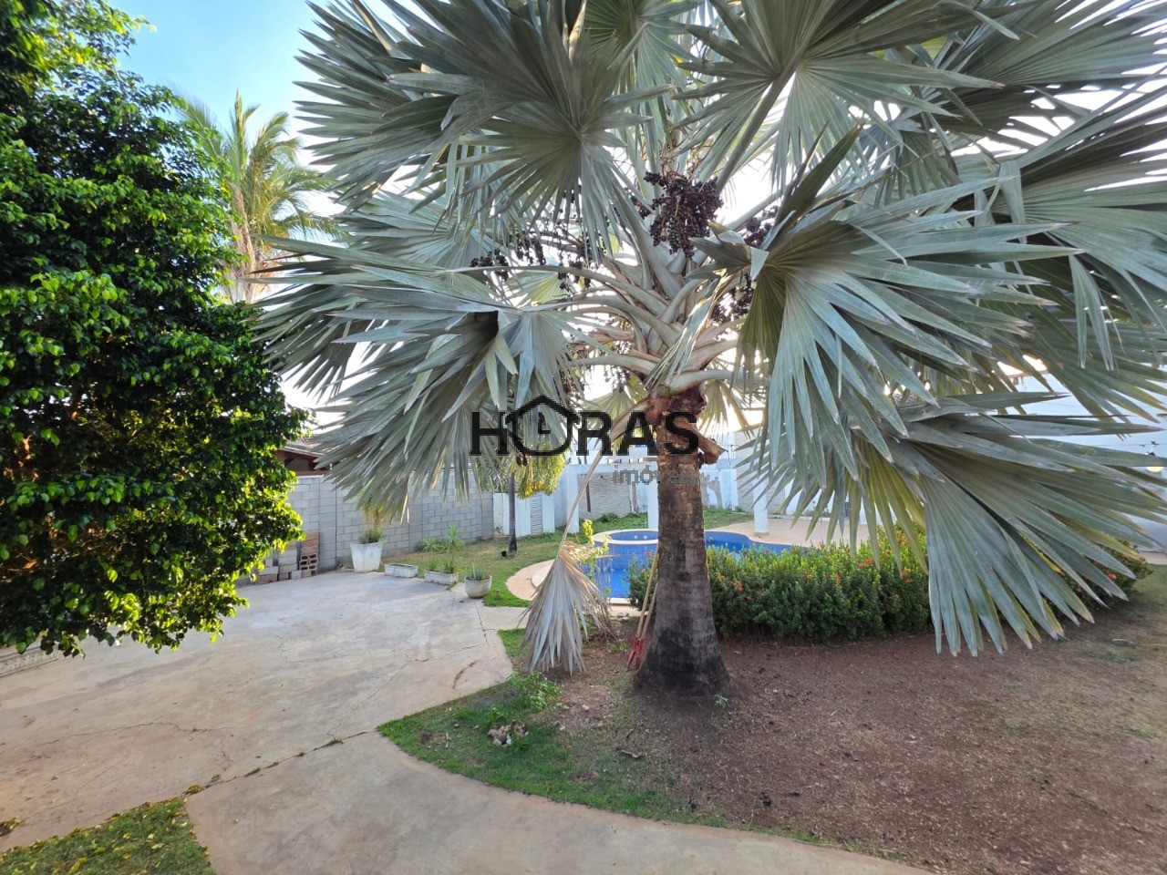 Casa, 7 quartos, 656 m² - Foto 4
