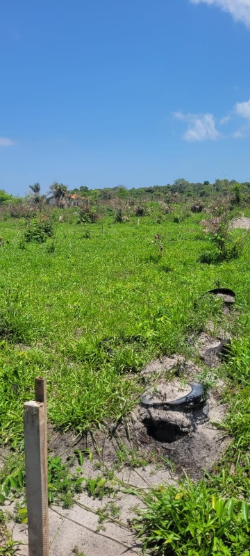 Terreno, 200 m² - Foto 14