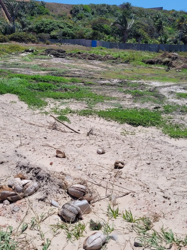 Terreno, 300 m² - Foto 18