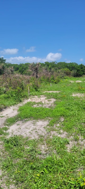 Terreno, 200 m² - Foto 21