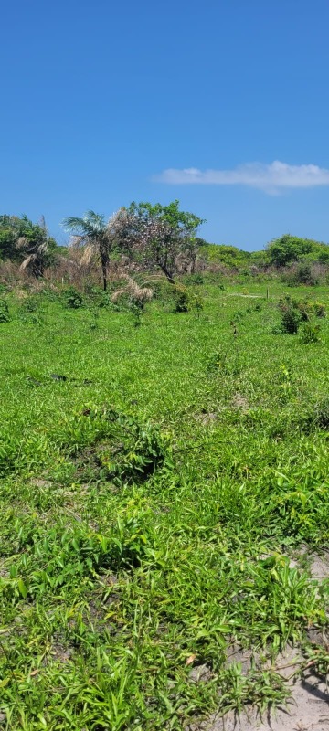 Terreno, 200 m² - Foto 20