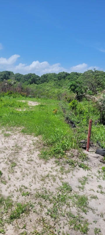 Terreno, 200 m² - Foto 16