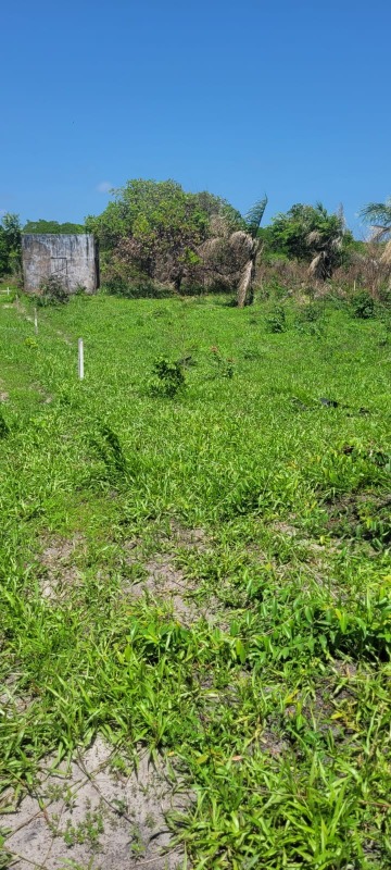 Terreno, 200 m² - Foto 13