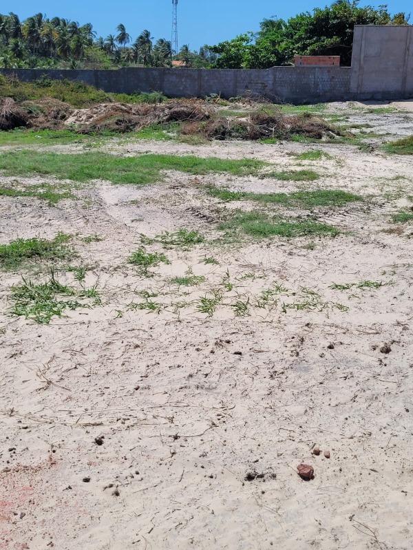 Terreno, 300 m² - Foto 16