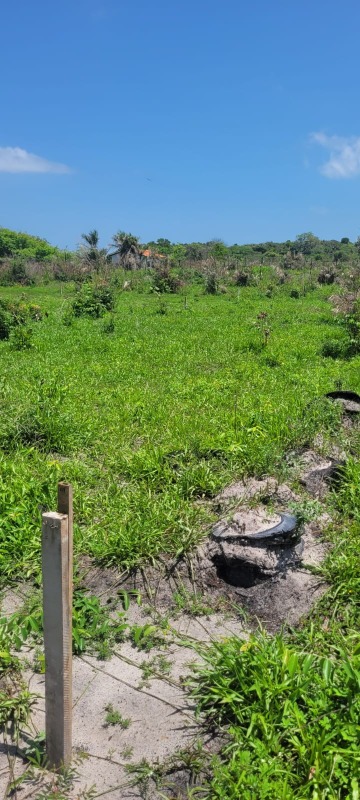 Terreno, 200 m² - Foto 28