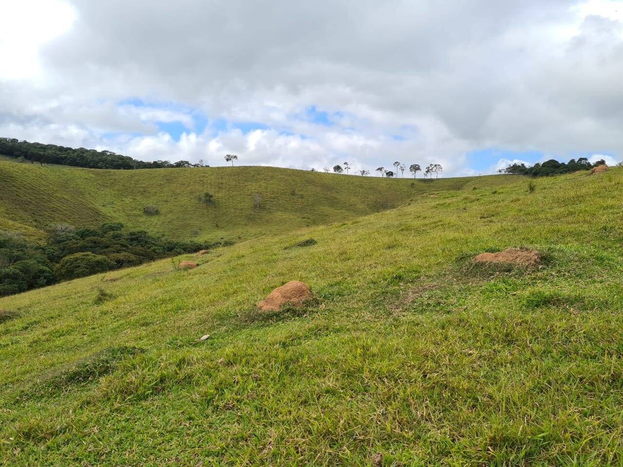 Sítio, 3 quartos, 51 hectares - Foto 20