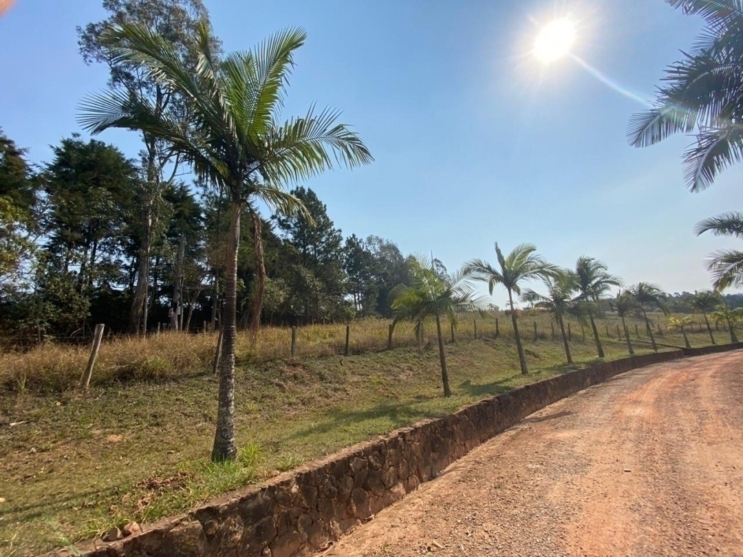 Terreno, 2 hectares - Foto 1
