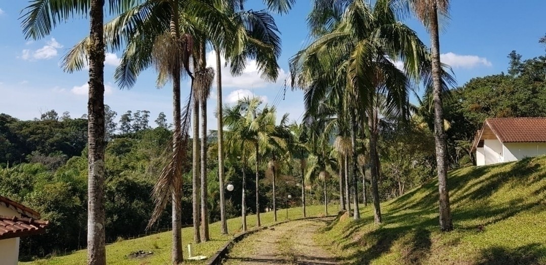 Chácara, 7 quartos, 4 hectares - Foto 6