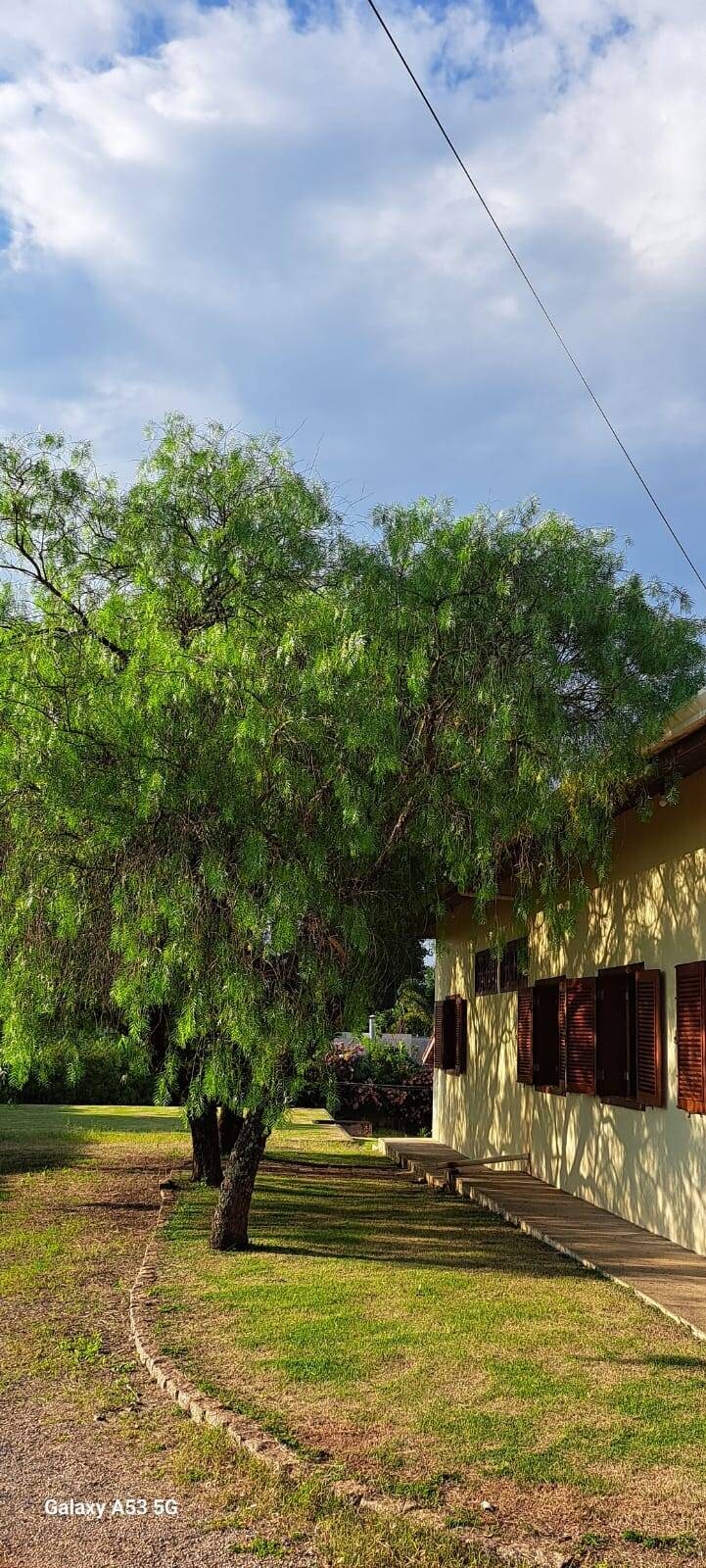 Chácara, 3 quartos, 5000 m² - Foto 21