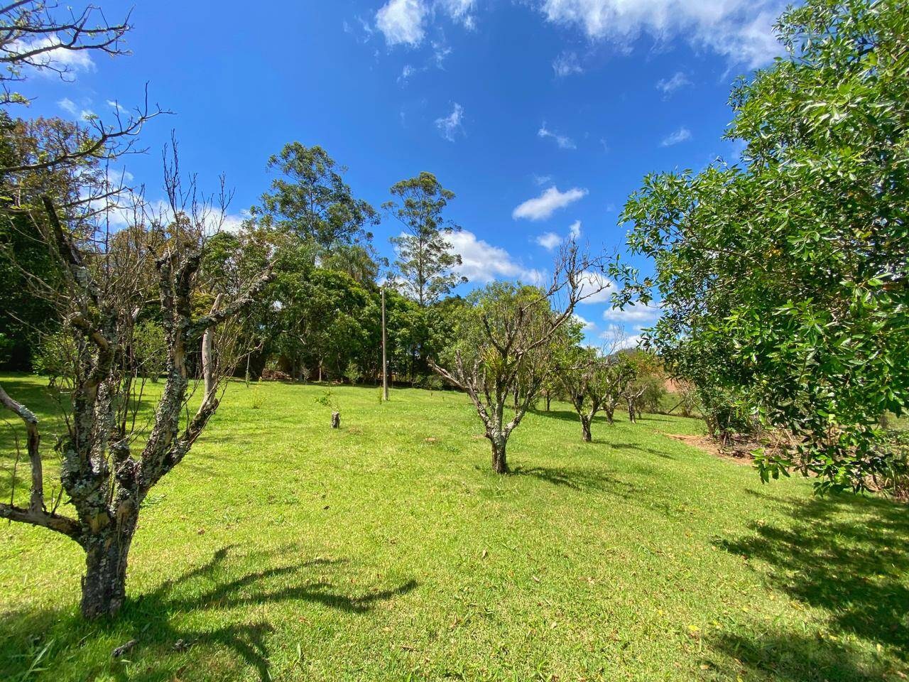 Sítio, 6 quartos, 6 hectares - Foto 13